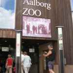 A Danish Zoo Asks for Pet Donations to Feed Carnivores: