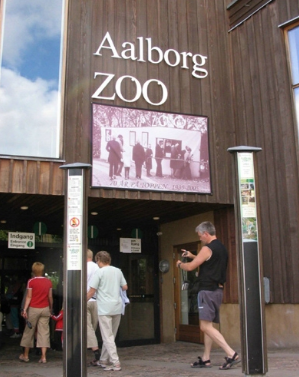 A Danish Zoo Asks for Pet Donations to Feed Carnivores: